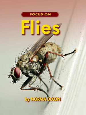 cover image of Focus on Flies